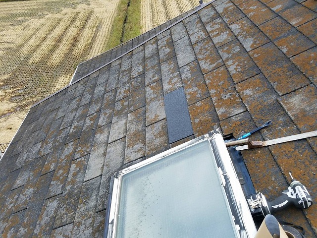 屋根修理もお任せください